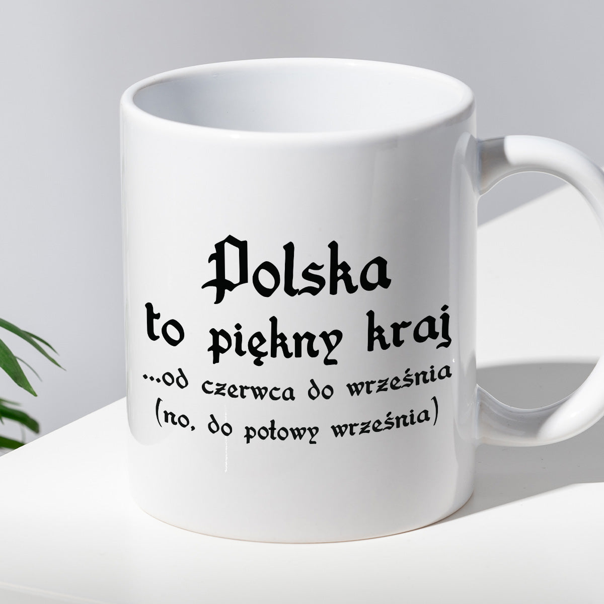 Kubek z nadrukiem "Polska to piękny kraj...od czerwca do września..."